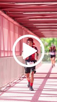 BIB:  <button type="button" onclick="openModal(27291114)" class="btn btn-primary btn-sm float-right" data-toggle="modal" data-target=".modal-high-quality">
                <i class="fa fa-download"></i> Download
                </button>